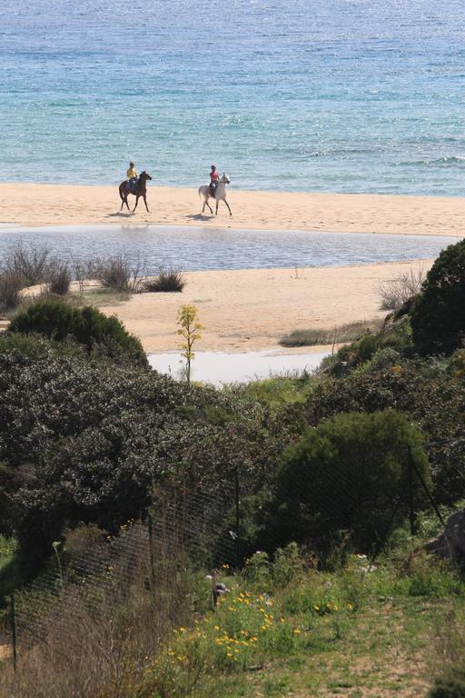 Case Sul Mare Residenze Di Bes Chia Exteriör bild